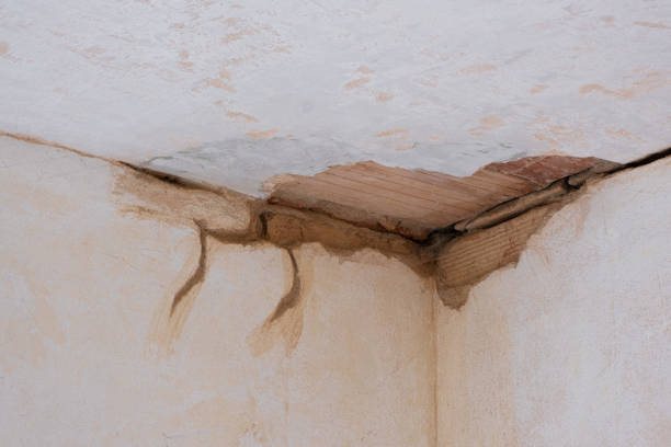Best Water damage restoration specialists  in Davenport, IA