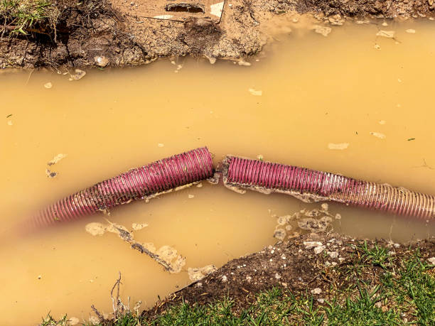 Best Professional water damage repair  in Davenport, IA