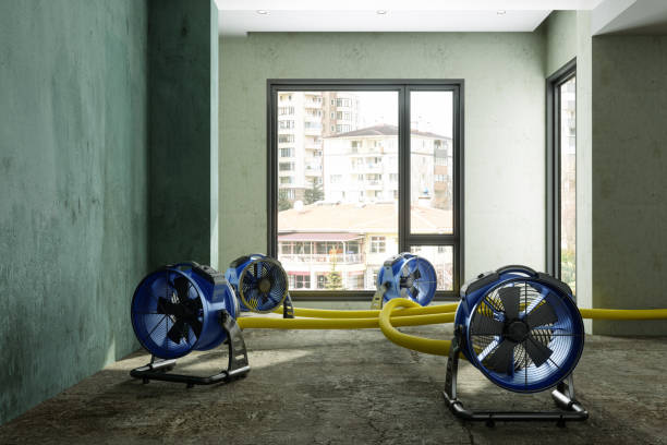 Best Water damage cleanup near me  in Davenport, IA